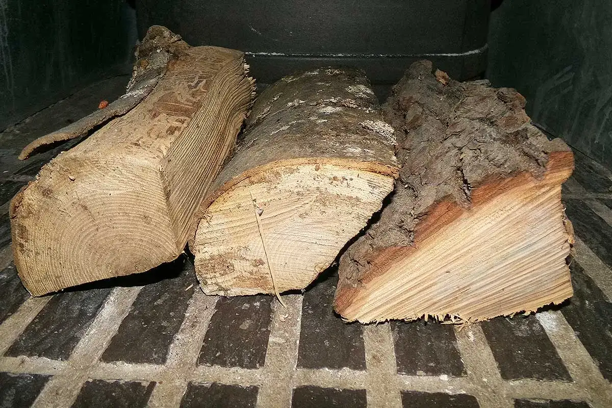 Bois de chauffage - Quelle essence choisir pour bien se chauffer?